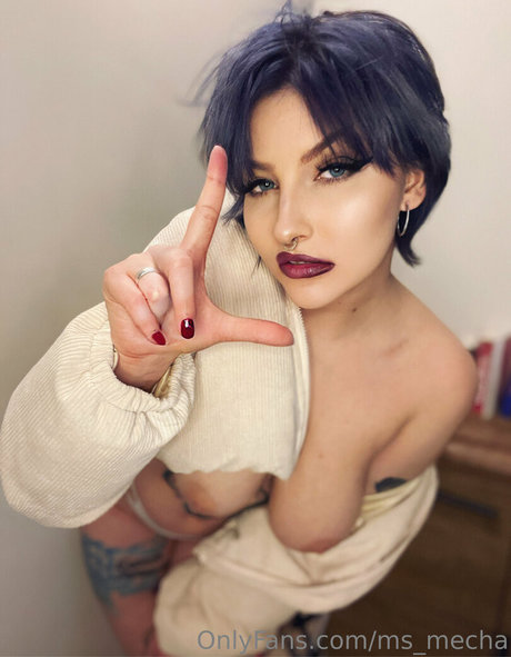 Msmecha