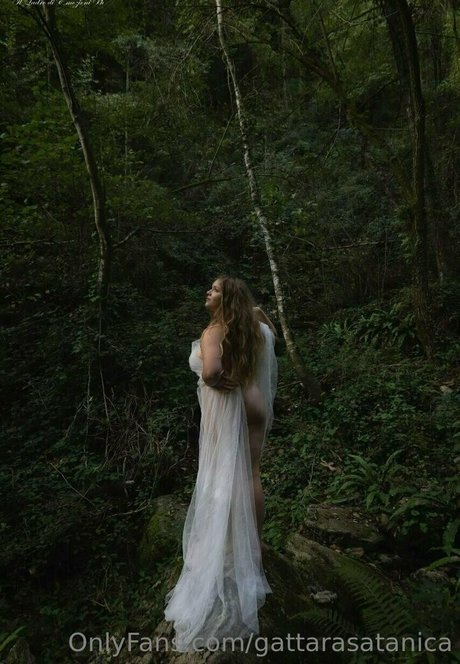 Gattarasatanica