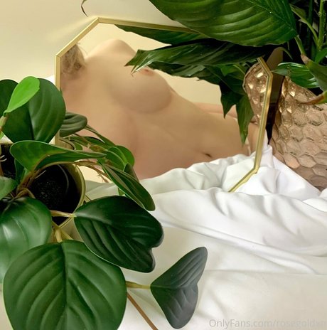 Foto di nudo di fuga di OnlyFans di Rosegoldxn