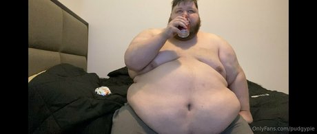 Pudgypie