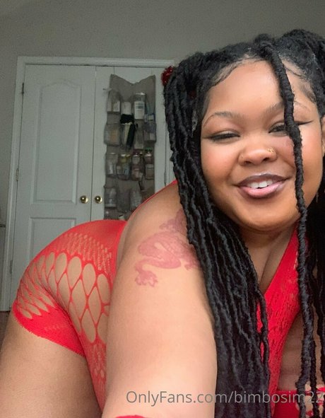 Bimbosim22