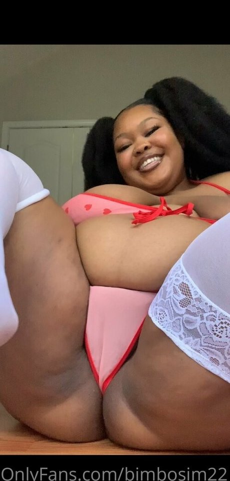 Bimbosim22