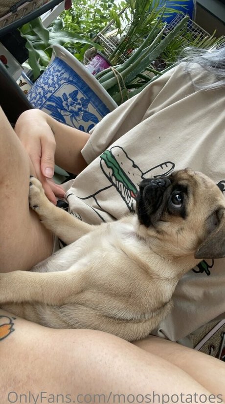 Foto di nudo di fuga di OnlyFans di Mooshpotatoes