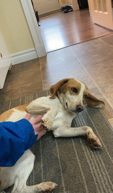 Northerngaymertwinks