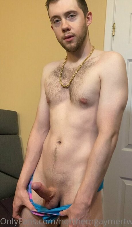 Northerngaymertwinks